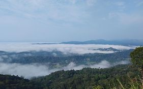 Green View